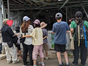 円山動物園　ペンギン2